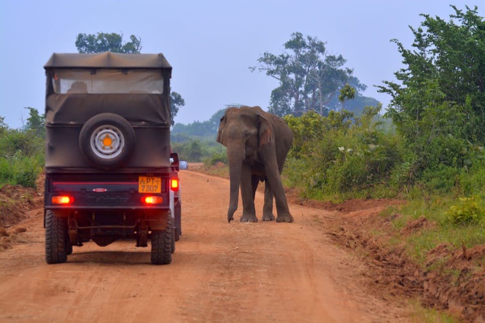 Ecotours