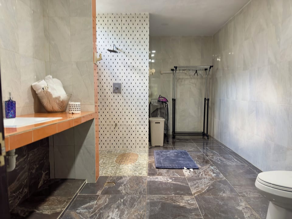 Family House, Garden View | Bathroom | Shower, free toiletries, hair dryer, towels