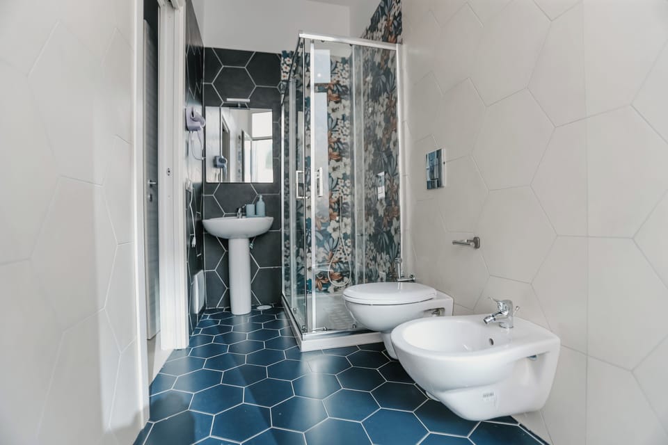 Shower, hair dryer, bathrobes, bidet