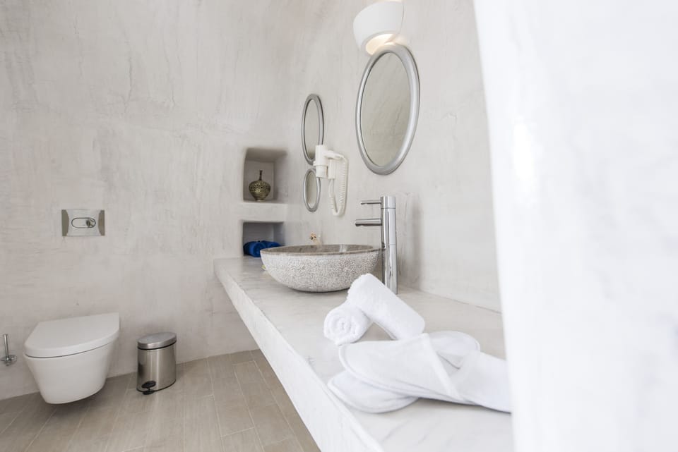Suite (Emotion) | Bathroom | Shower, rainfall showerhead, free toiletries, hair dryer