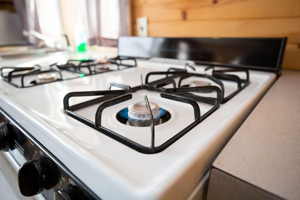 Comfort Cabin, 2 Bedrooms, Kitchen, River View (Sleeps 4) | Private kitchen | Full-size fridge, microwave, coffee/tea maker