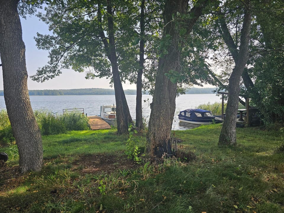 House | View from property