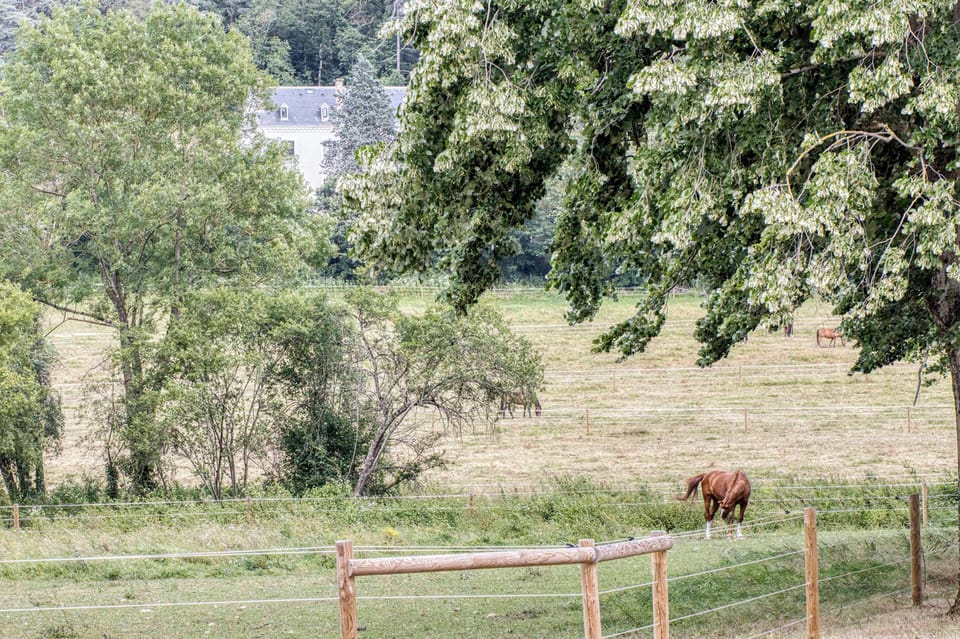 Horseback riding