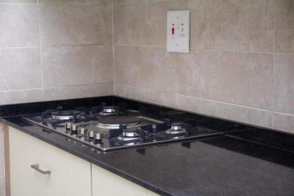 Family Apartment, Balcony, City View | Private kitchen | Fridge, microwave, oven, stovetop