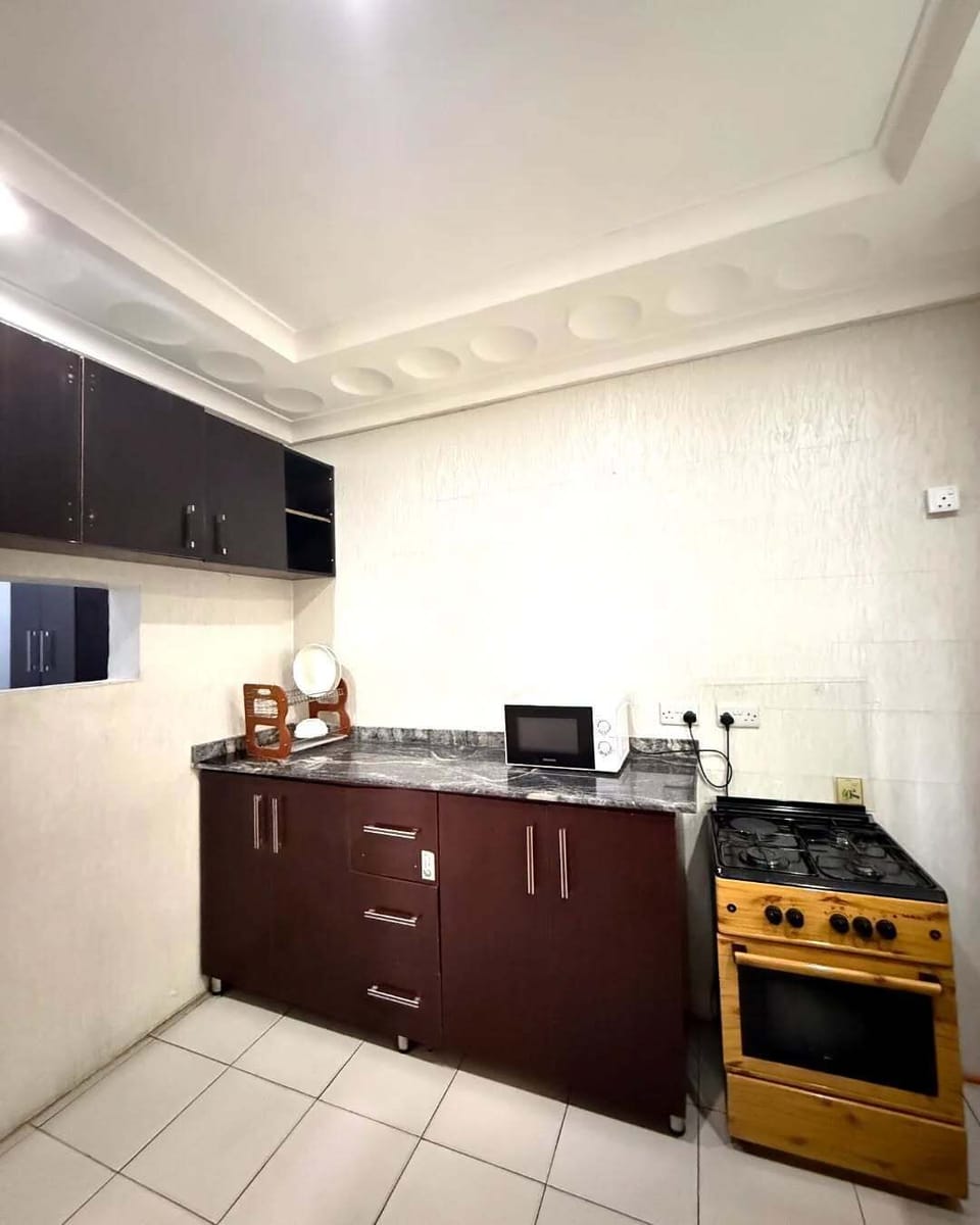 Deluxe Apartment, Balcony, City View | Private kitchen | Fridge, microwave, oven, stovetop