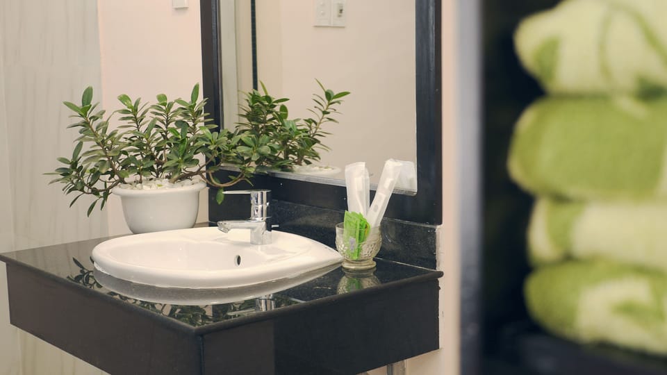 Shower, free toiletries, hair dryer, slippers