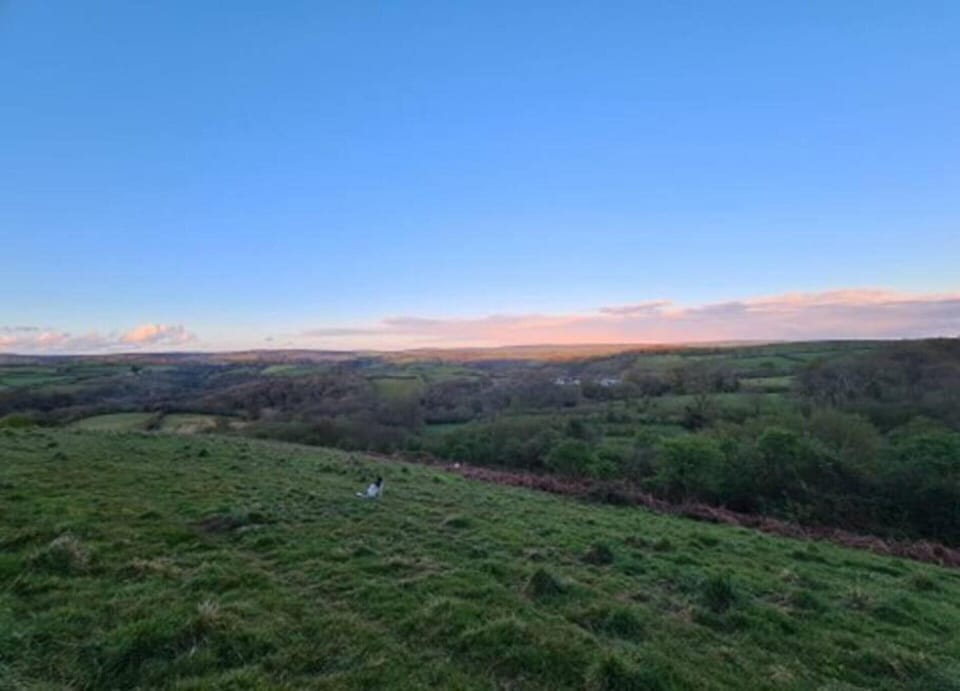 Cottage | View from property