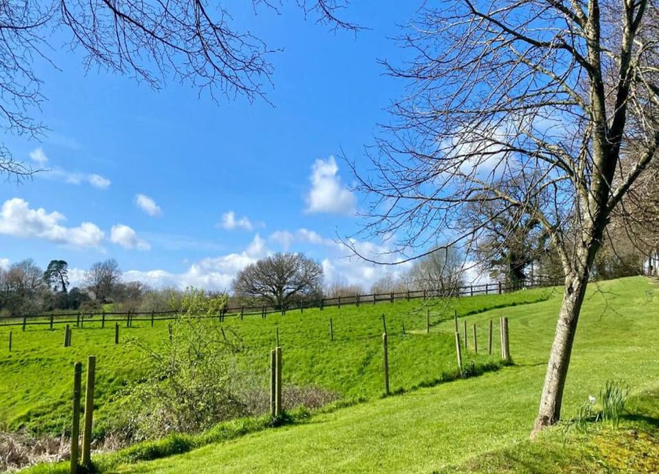 Cottage | View from property