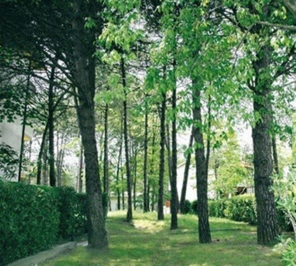 Apartment, 2 Bedrooms, Balcony | Garden
