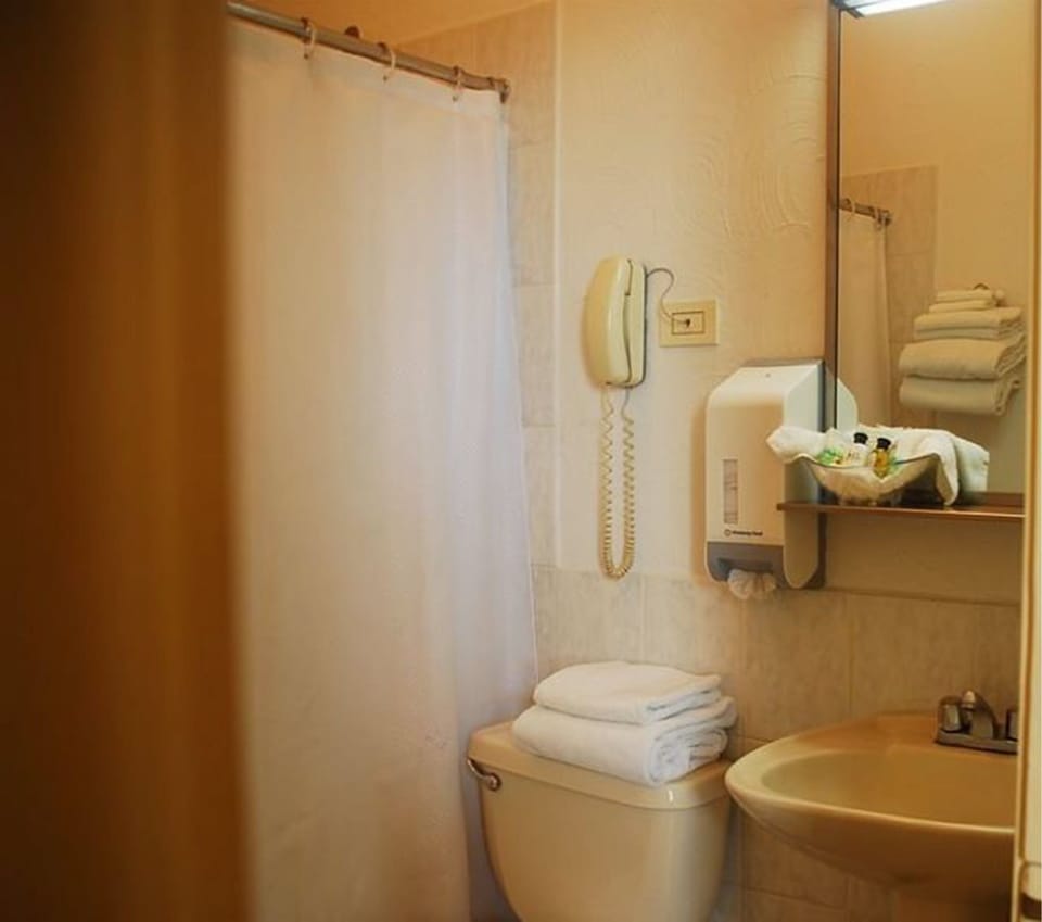 Shower, free toiletries, hair dryer, bidet