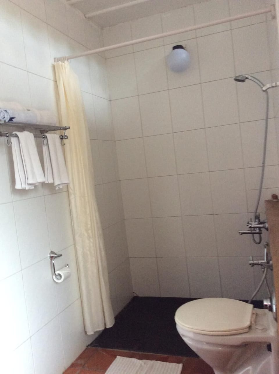 Shower, free toiletries, towels