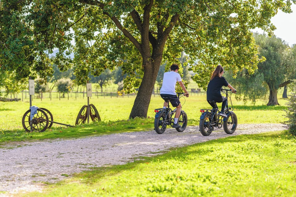 Bicycling
