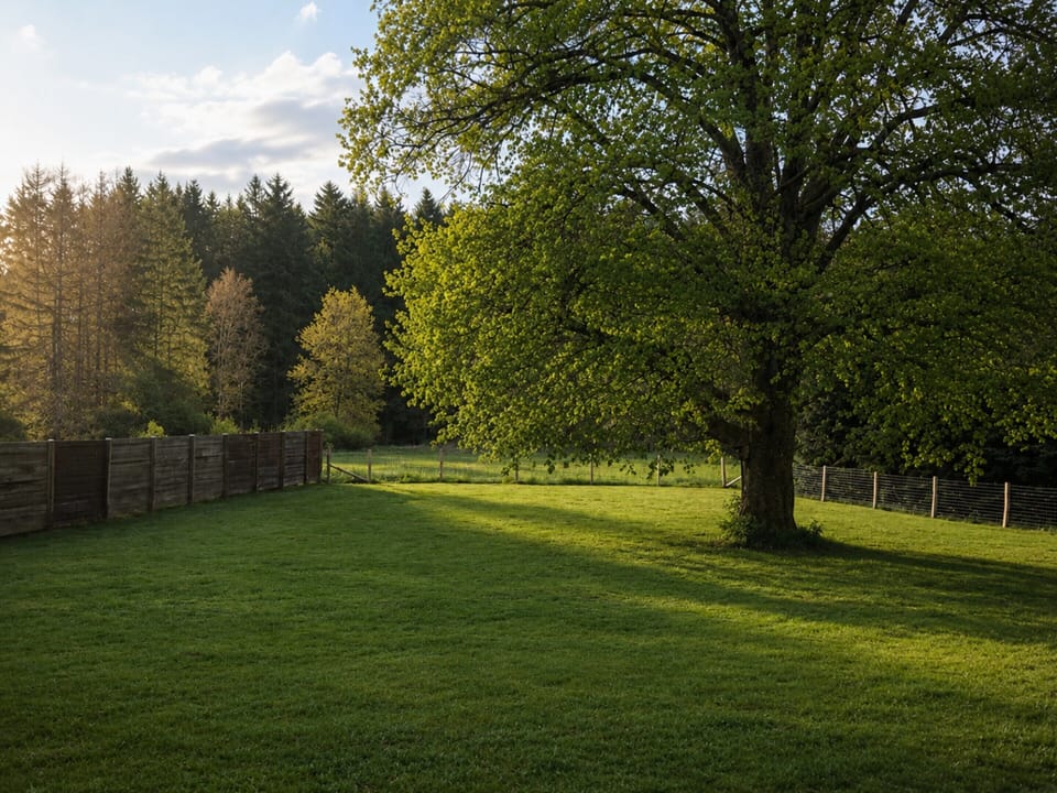 House | Garden