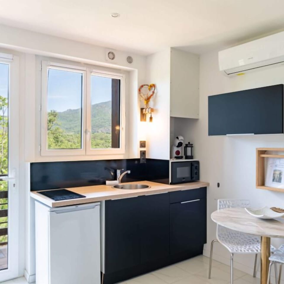 Basic Studio, Balcony, Mountain View | Private kitchen