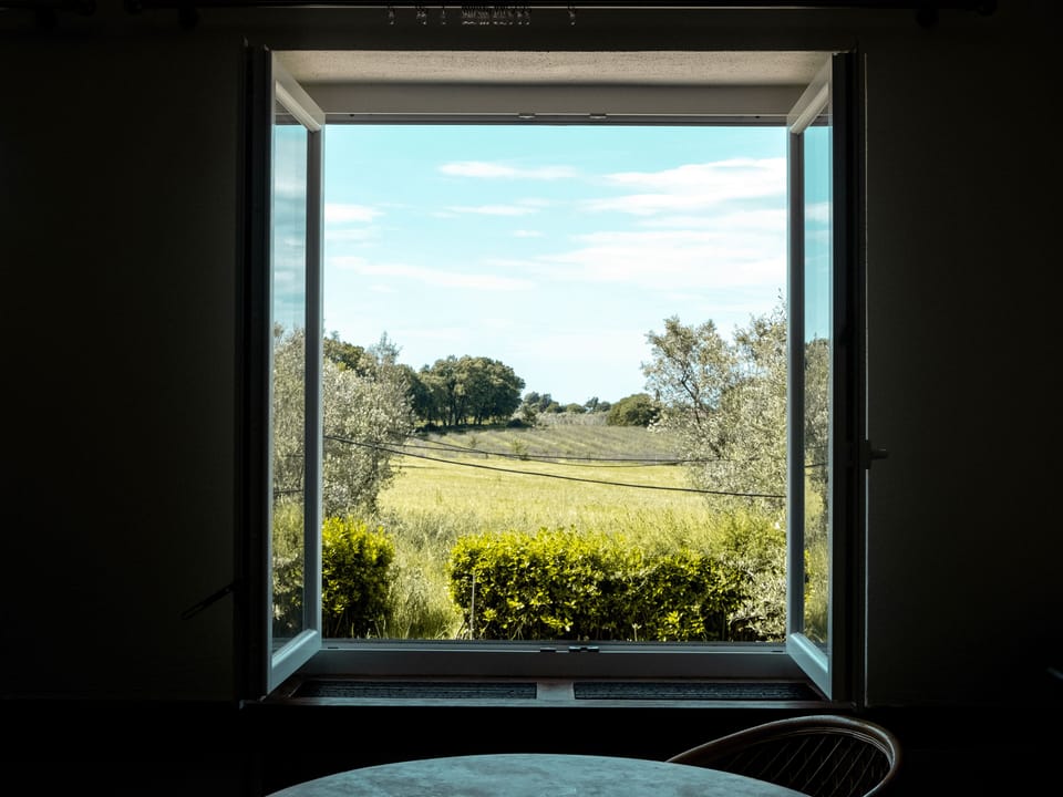 Garden view
