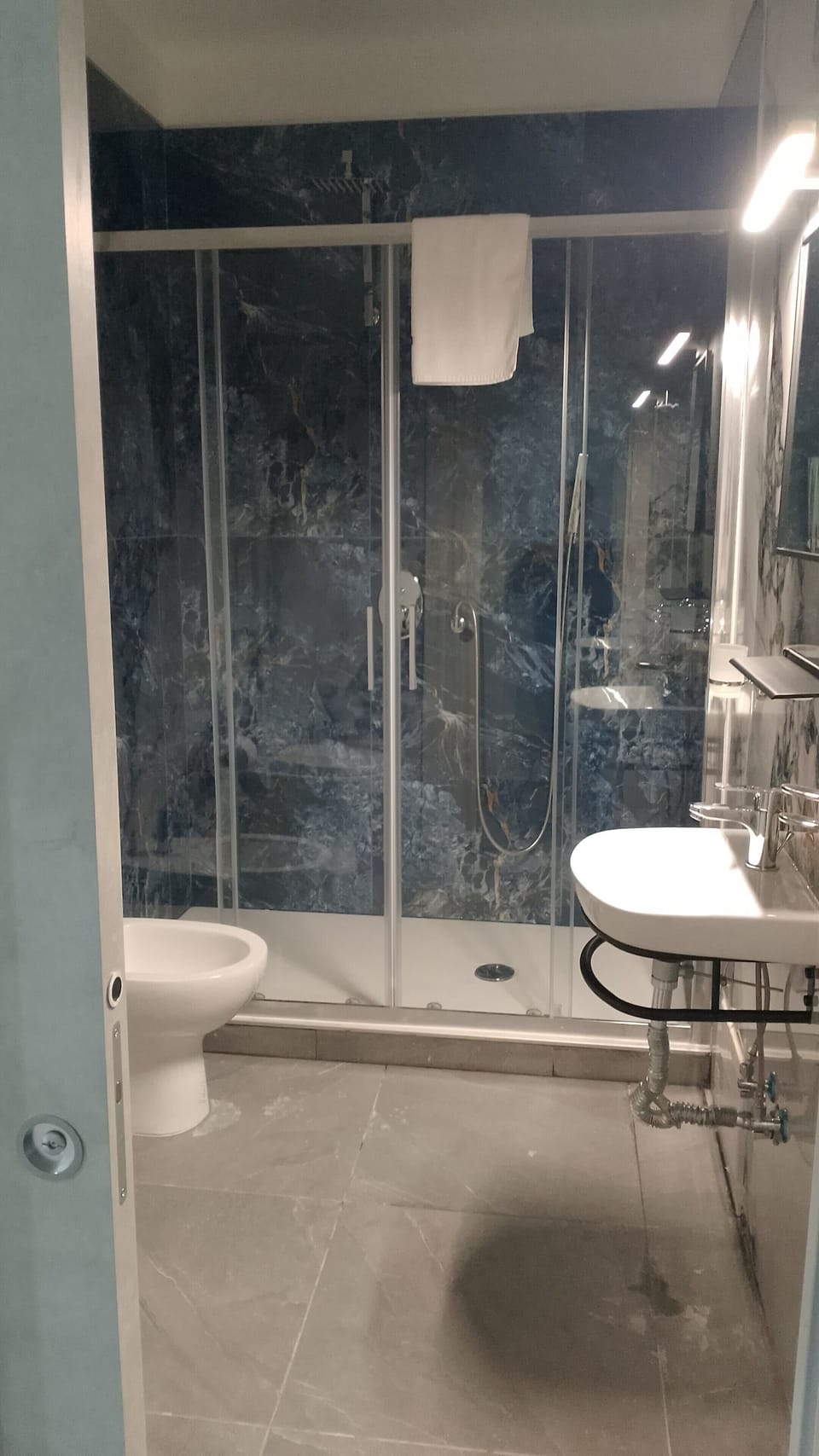 Deluxe Room (Room 2) | Bathroom | Bidet