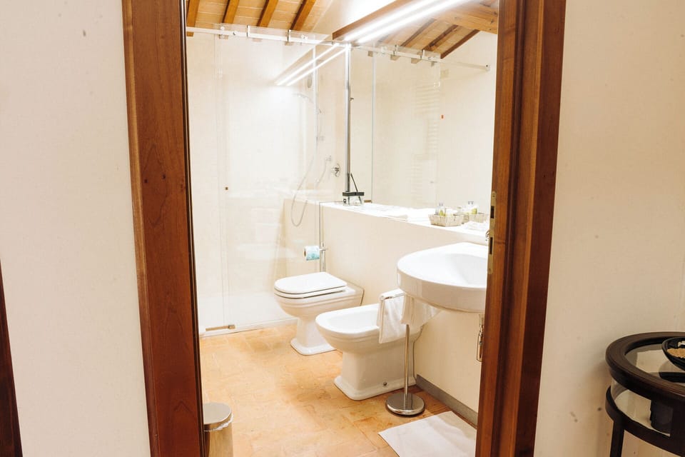 Deluxe Triple Room | Bathroom | Hair dryer, slippers, bidet, towels