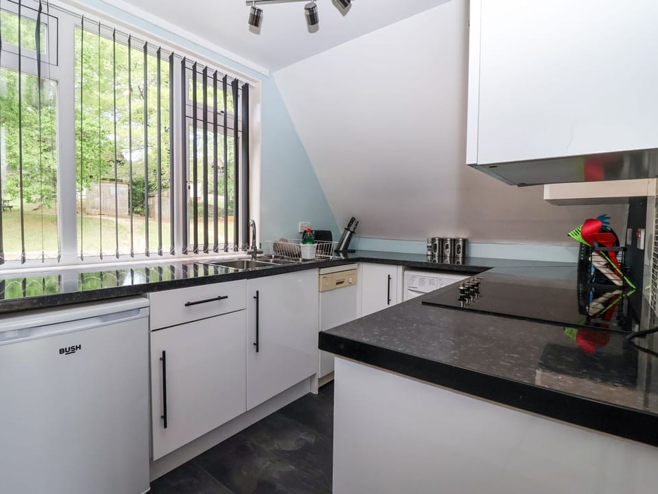 Fridge, microwave, dishwasher, cookware/dishes/utensils