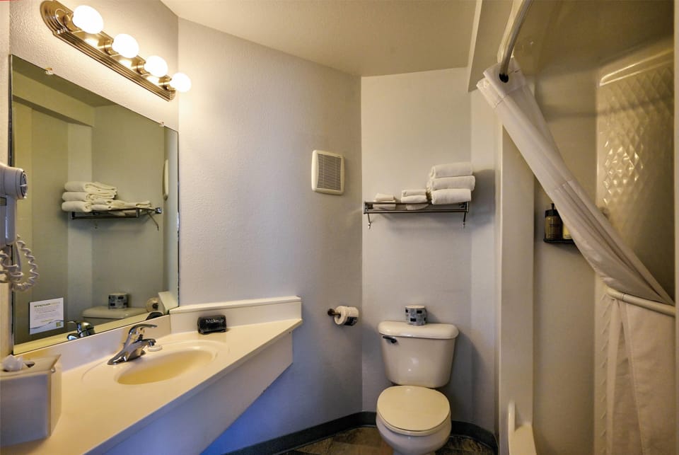 Room, 1 King Bed, Non Smoking, Mountain View | Bathroom | Free toiletries, hair dryer, towels