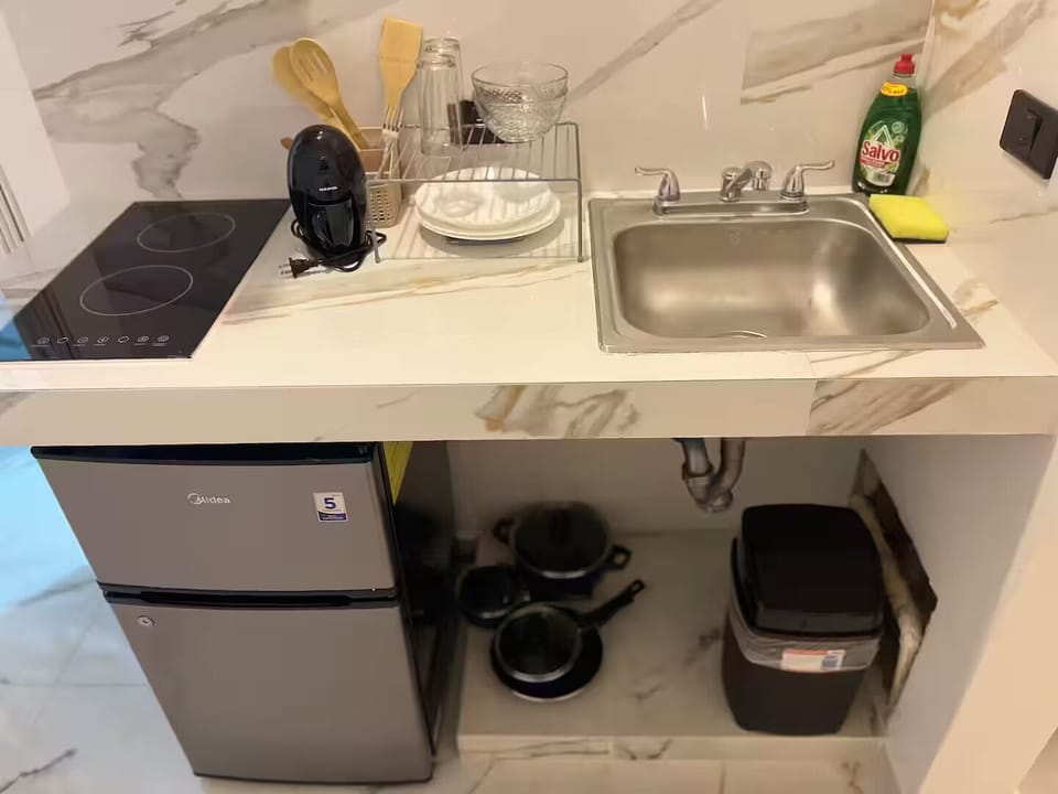 Deluxe Double or Twin Room, Kitchenette | Private kitchen | Mini-fridge