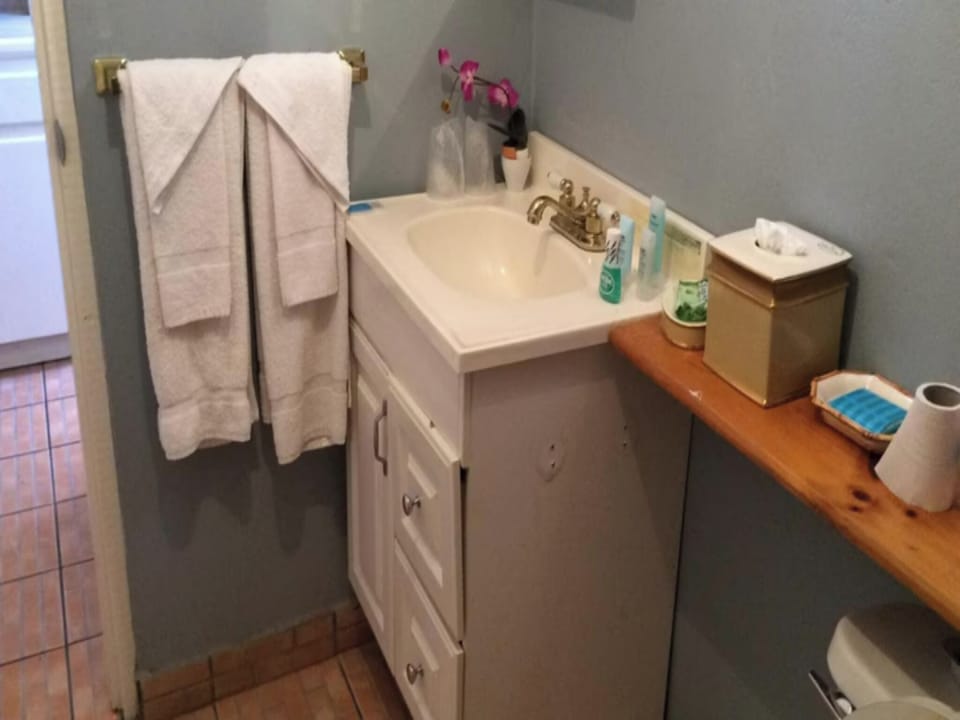 Cool Lux Premier Suite 25 Apartment in True Blue