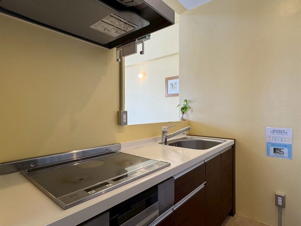 Full-size fridge, microwave, stovetop, electric kettle