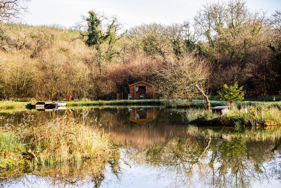 House | Property grounds