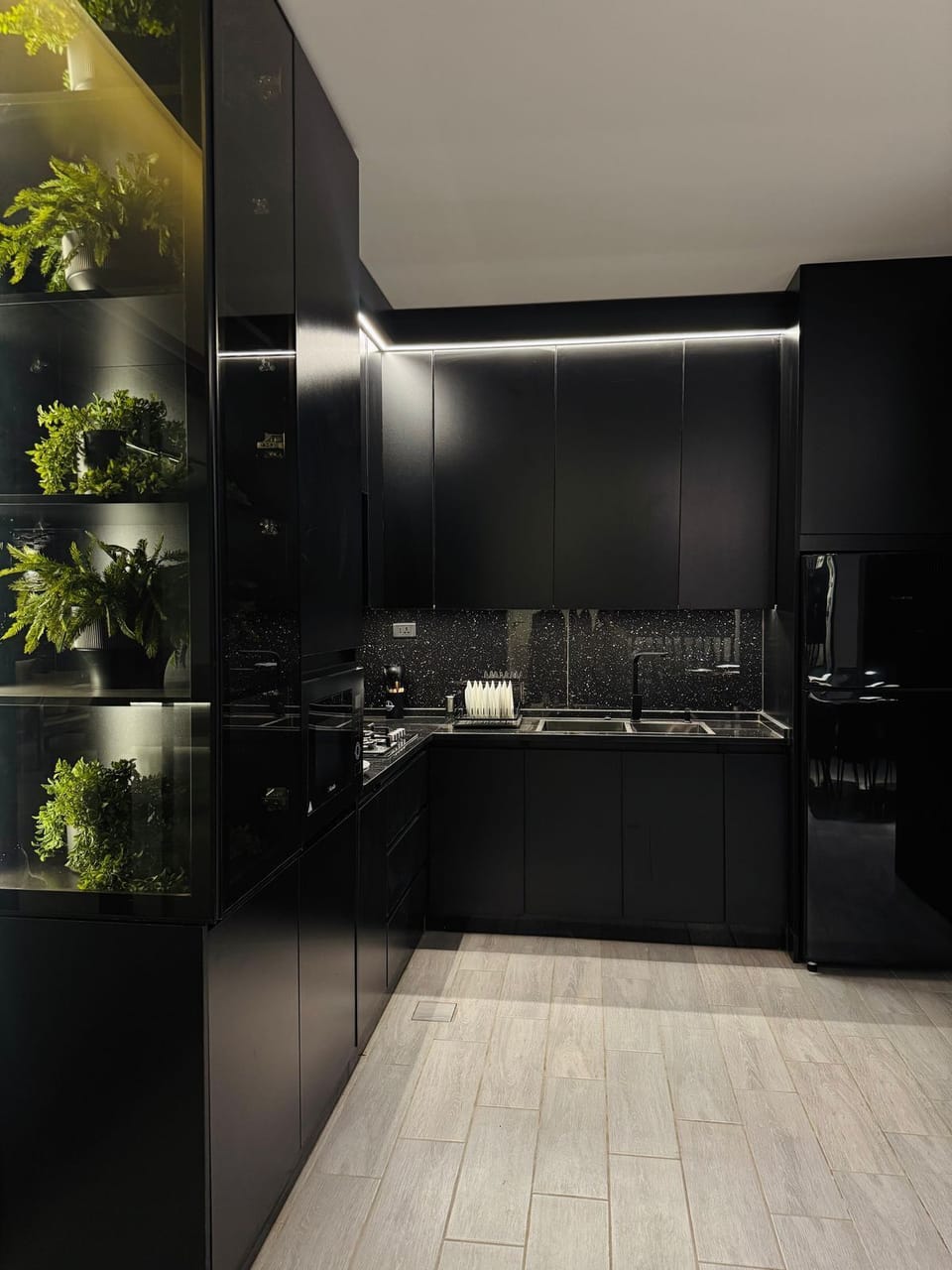 Full-size fridge, microwave, stovetop, electric kettle