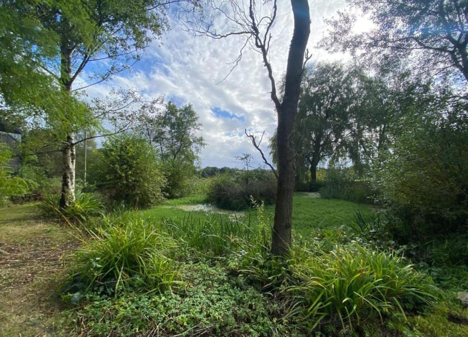 House | View from property