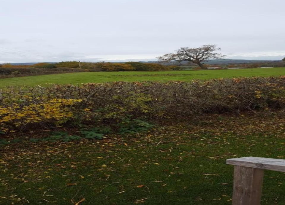 Cottage | View from property