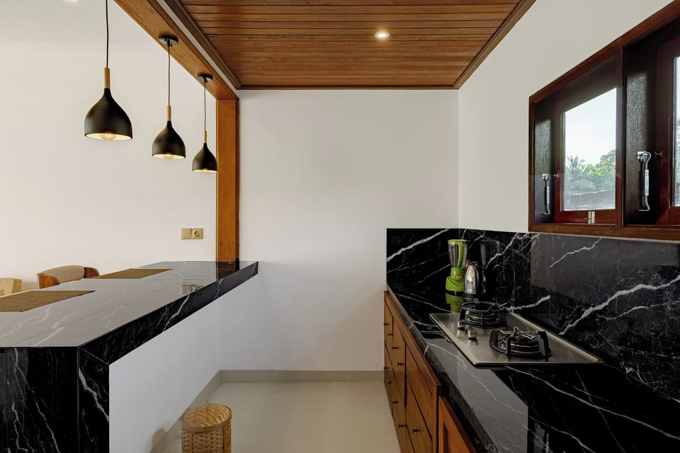 Full-size fridge, stovetop, dishwasher, electric kettle