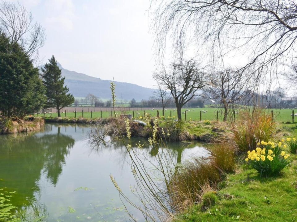 Apartment | View from property