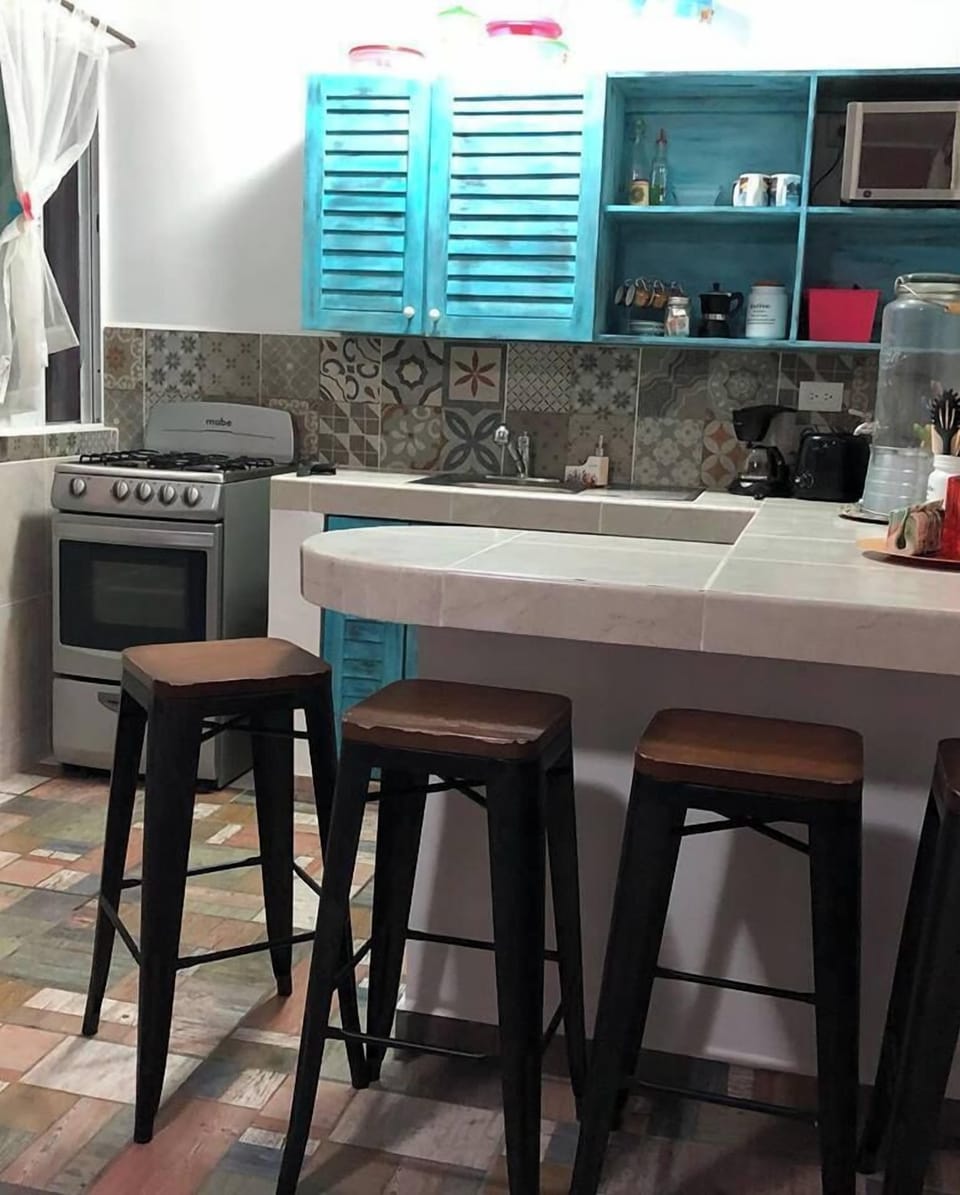 Basic Apartment | Private kitchen | Full-size fridge, microwave, oven, cookware/dishes/utensils
