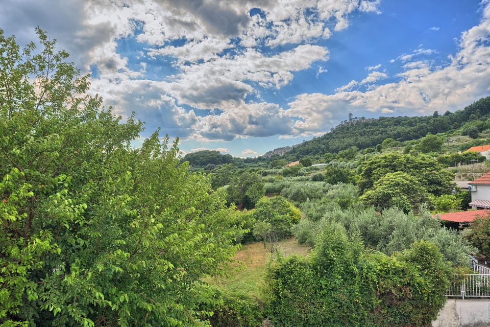 Apartment, Balcony, Hill View | View from room