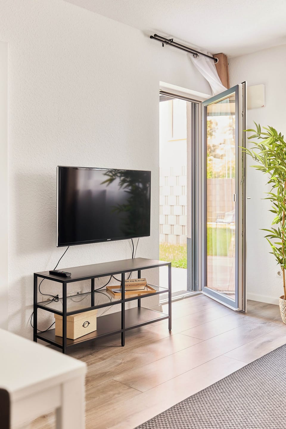 Television