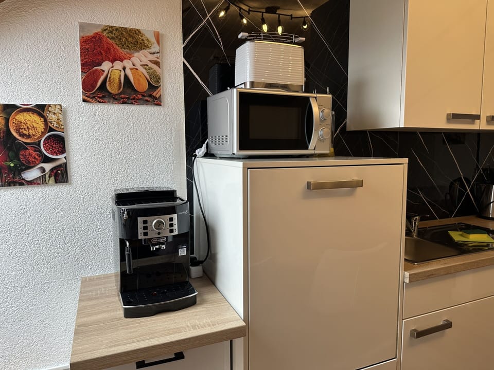 Basic Apartment, Private Bathroom (1) | Shared kitchen