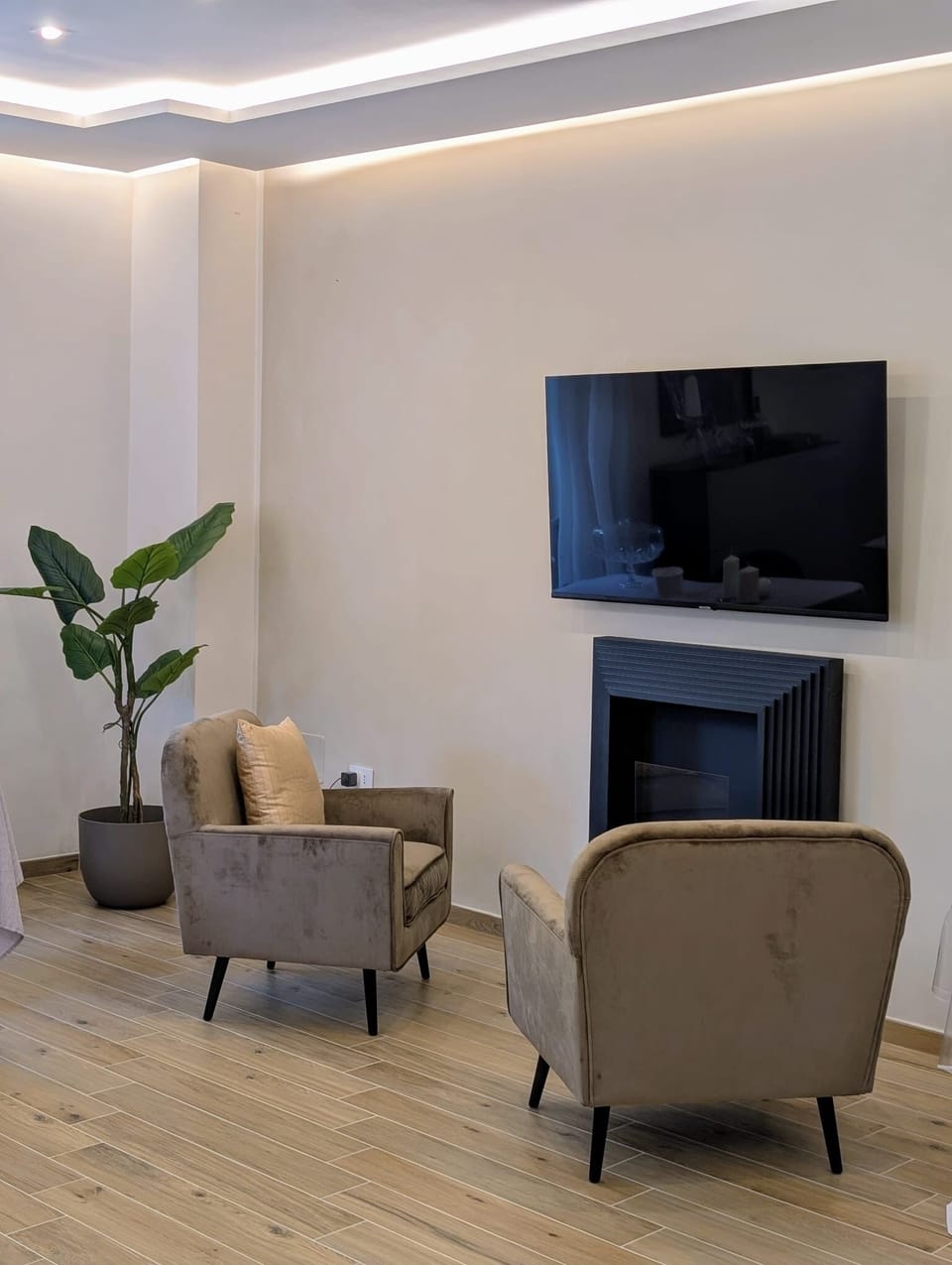 TV
