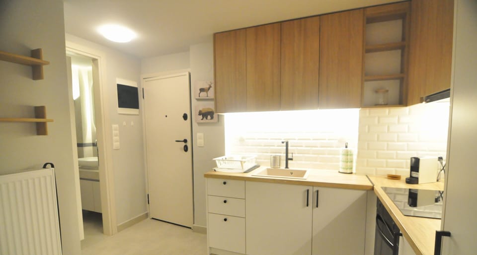 Superior Apartment, City View | Private kitchen | Espresso maker, electric kettle, cleaning supplies
