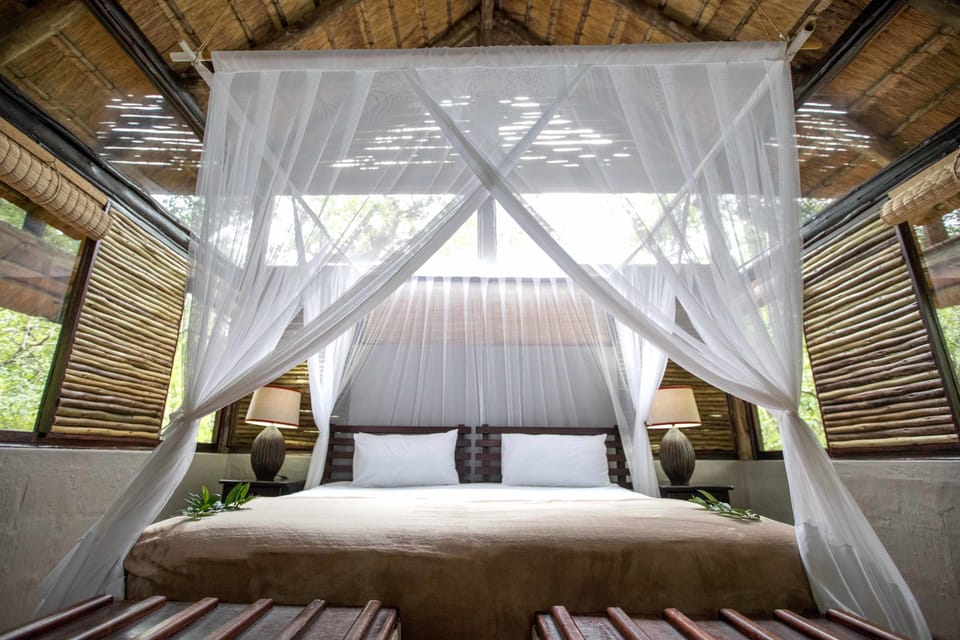 Bush Suite | Premium bedding, blackout drapes, soundproofing, bed sheets