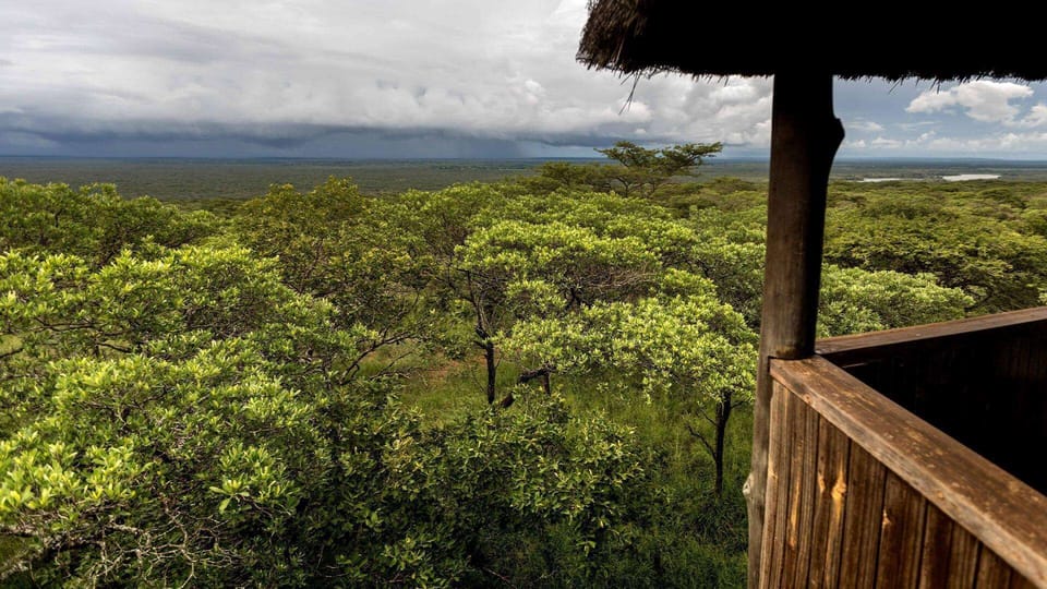 View from property