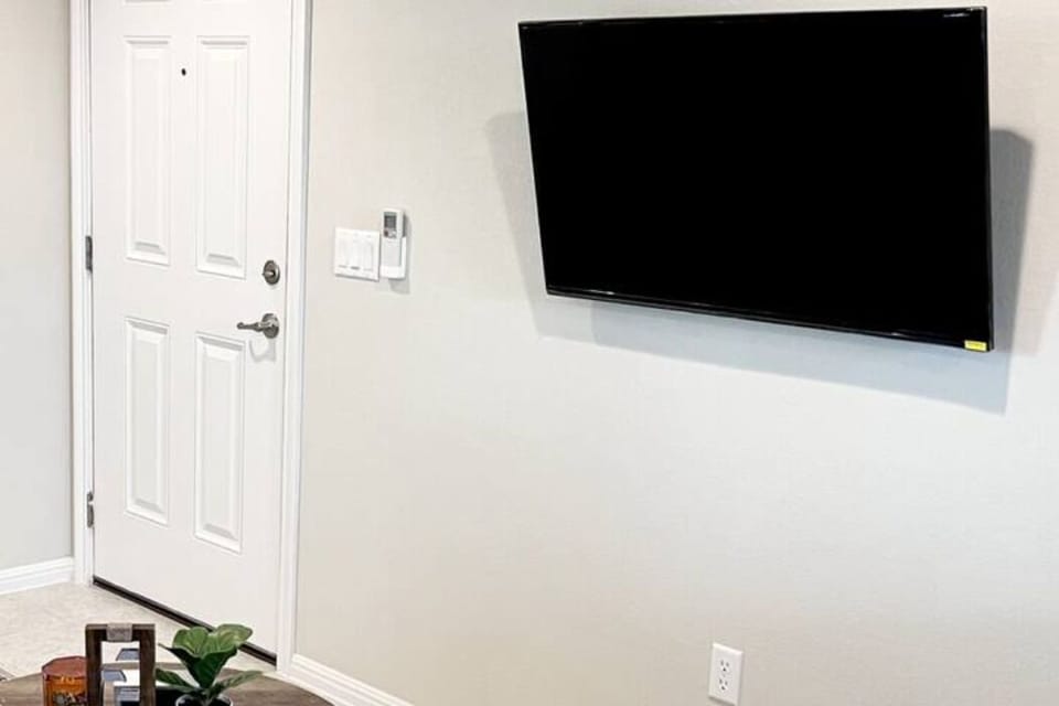 Television