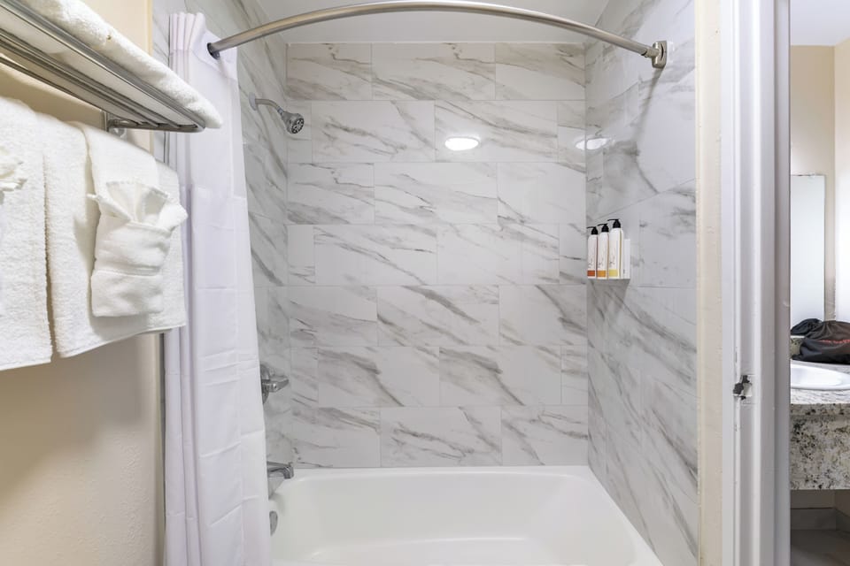 Hair dryer, towels, soap, shampoo