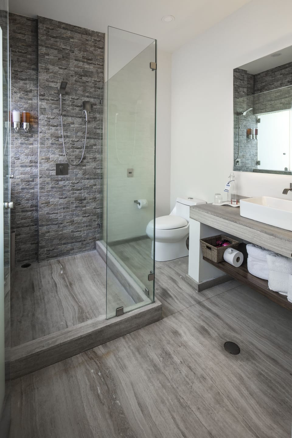 Deluxe Suite | Bathroom | Shower, free toiletries, hair dryer, bathrobes