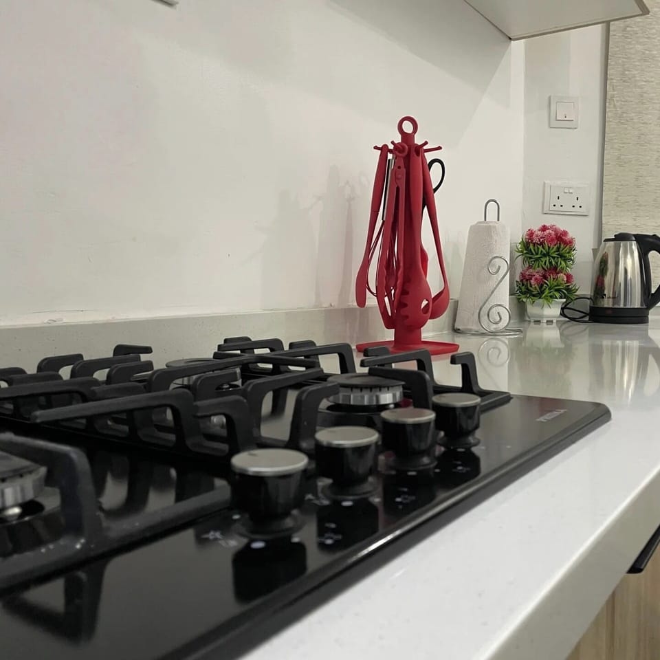 Family Apartment, Balcony, City View | Private kitchen | Fridge, microwave, oven, stovetop