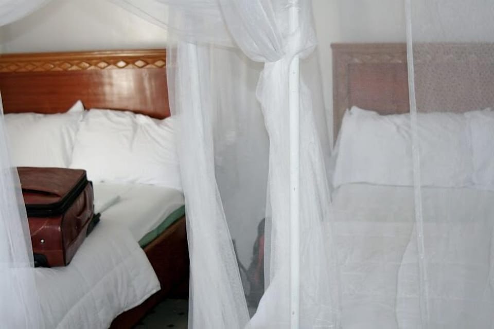 Standard Twin Room, City View | Free WiFi, bed sheets