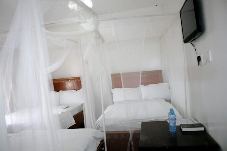 Standard Twin Room, City View | Free WiFi, bed sheets