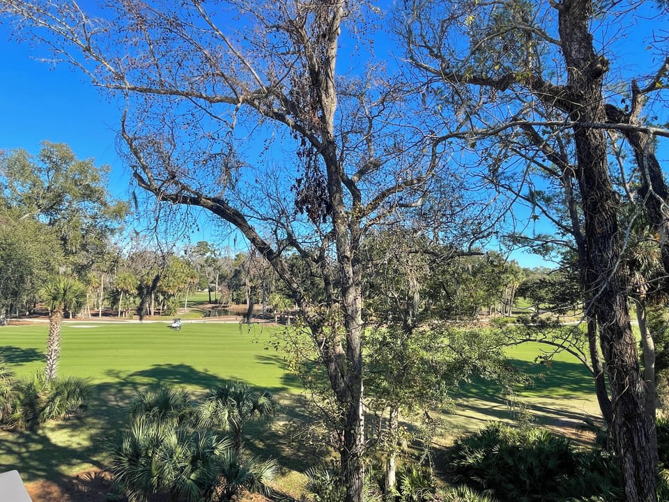 Villa, Multiple Beds, Kitchen, Golf View (482 Plantation Club Villas) | View from room