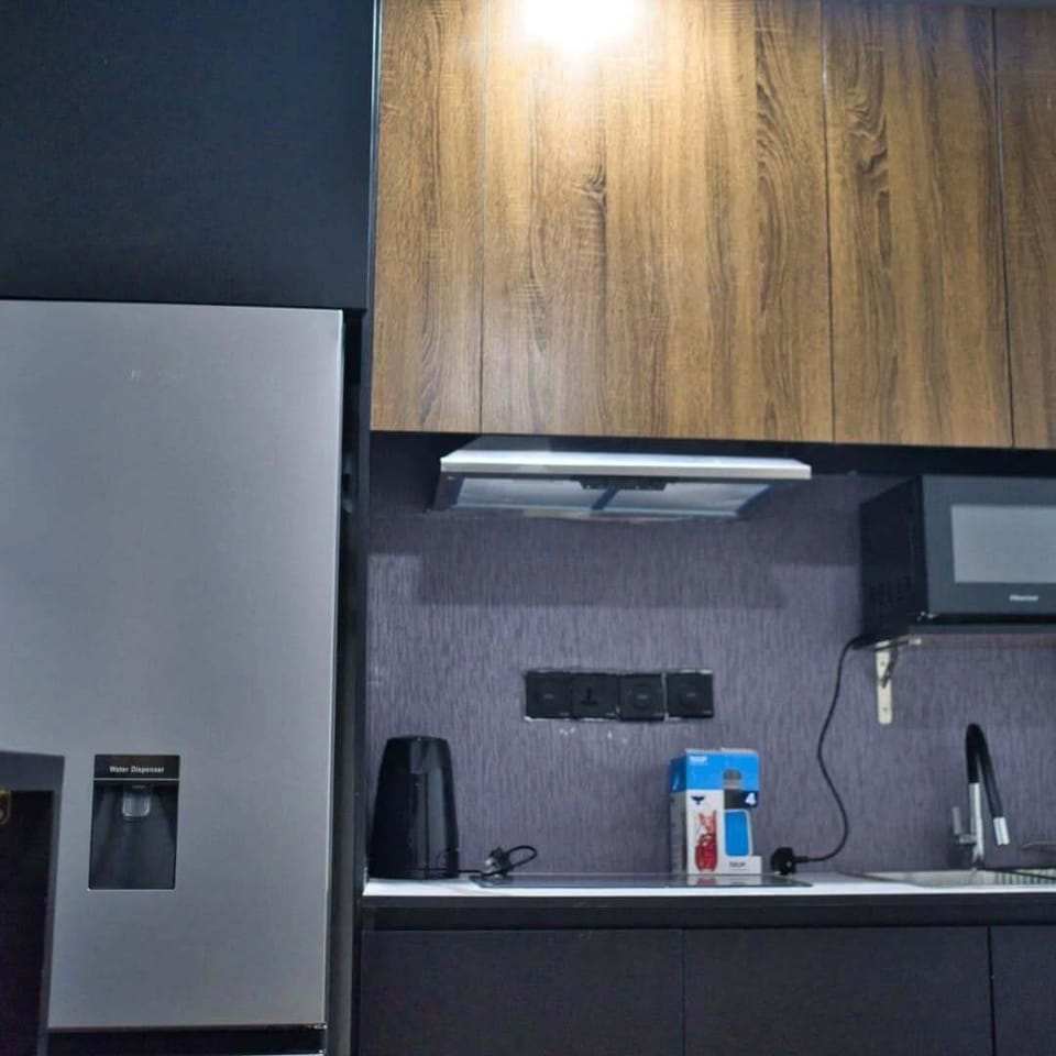 Family Apartment, Balcony, City View | Private kitchen | Fridge, microwave, oven, stovetop