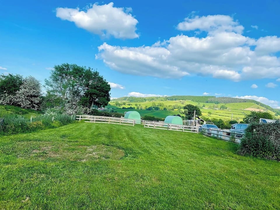 Cabin | Property grounds