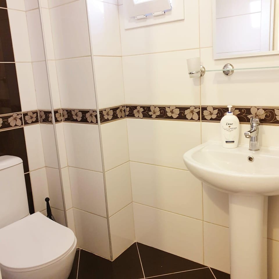 Classic Apartment, Balcony, City View | Bathroom | Toilet paper
